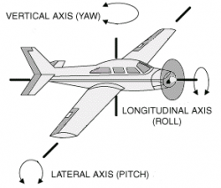 longitudinal axis and transverse axis