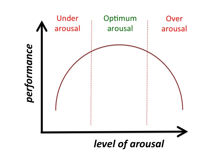 What Does Arousal Mean